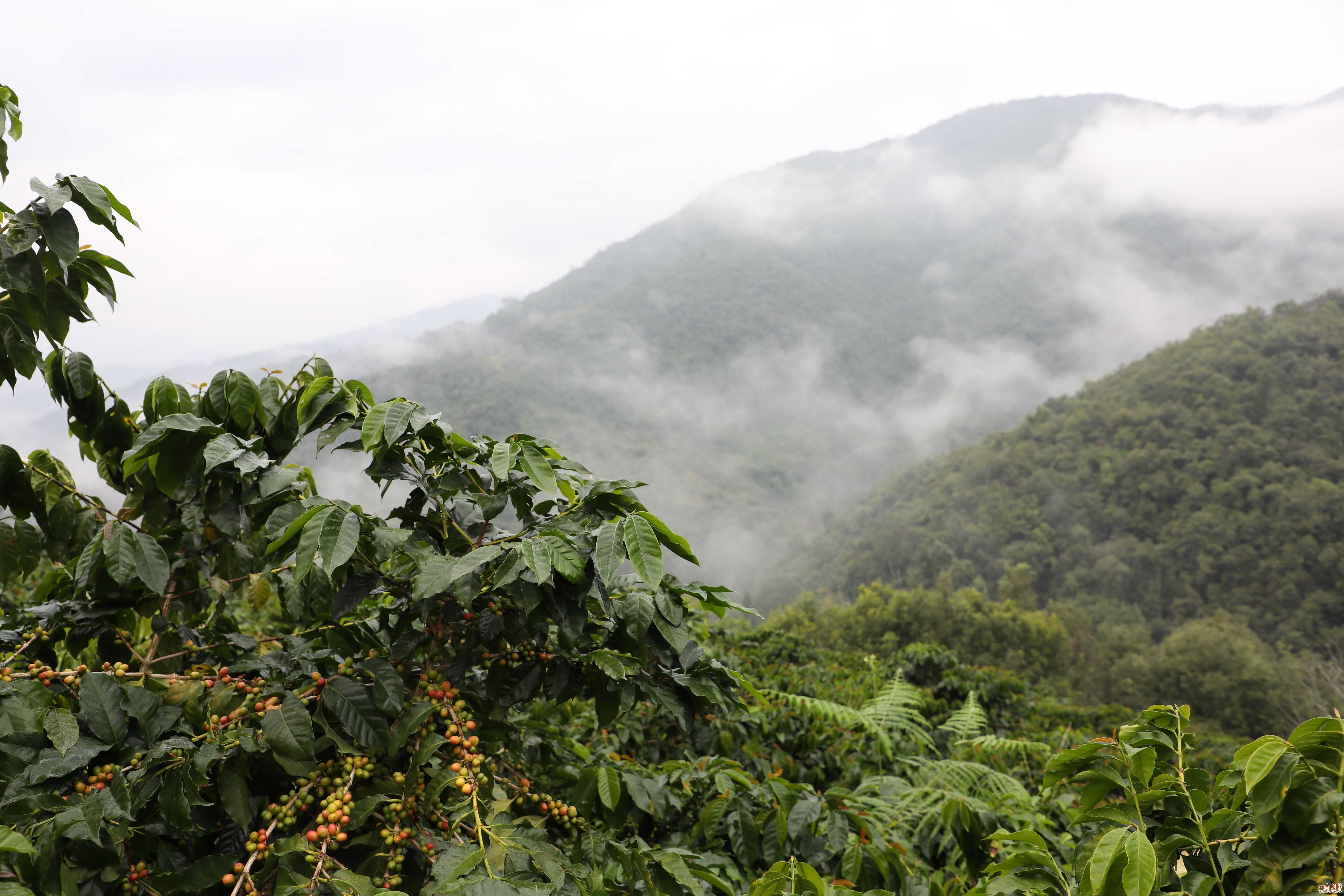 图片关键词 图片关键词