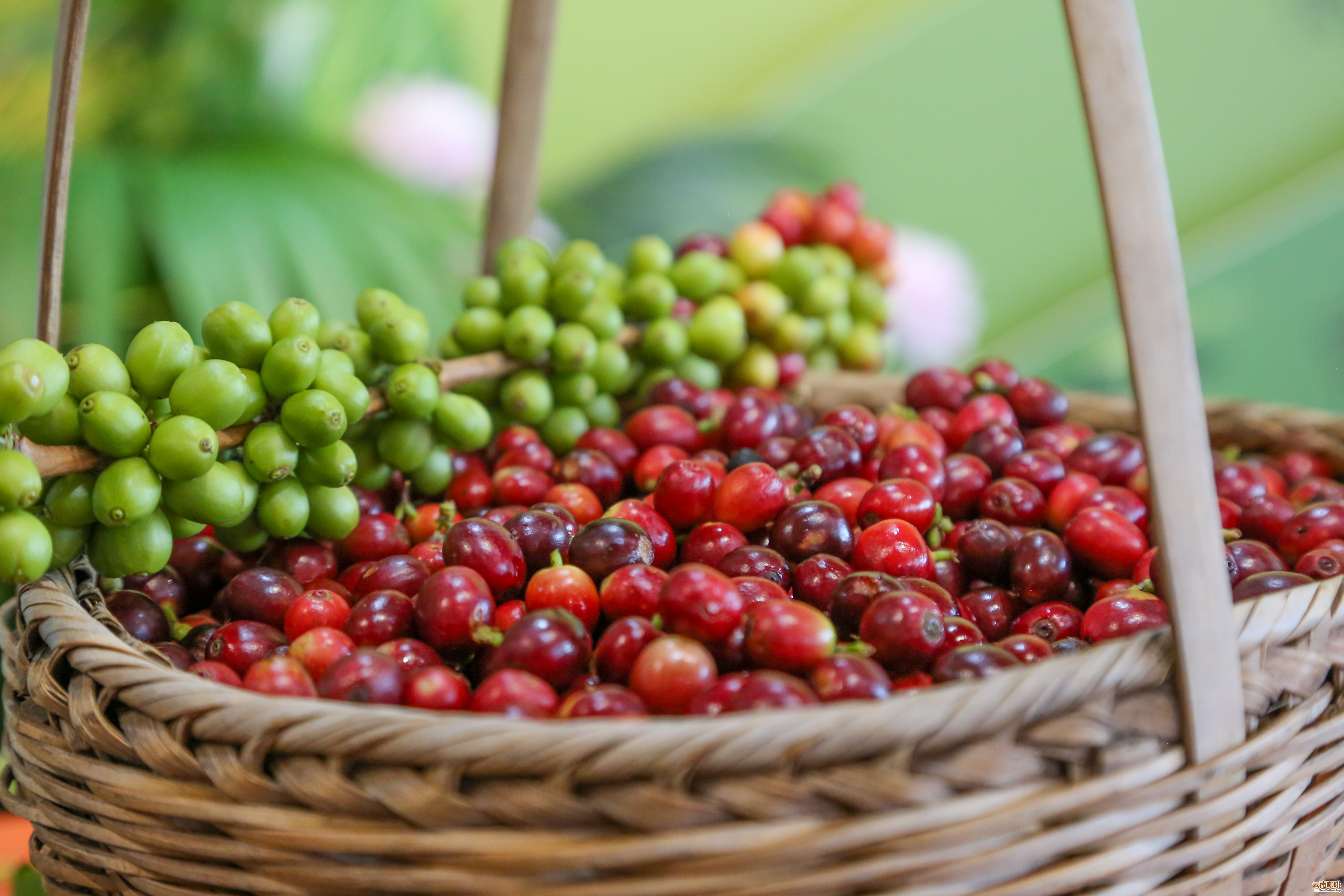 1713080458911101.jpg?x-oss-process=style/w10