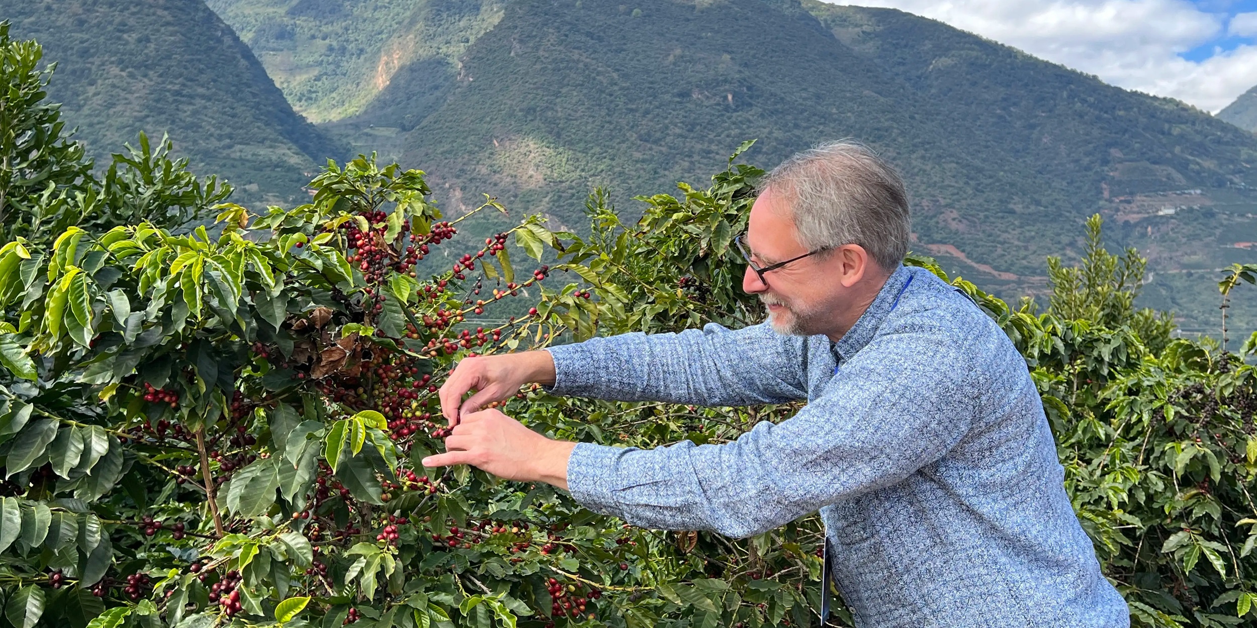 The fragrance of Chinese coffee wafts around the world