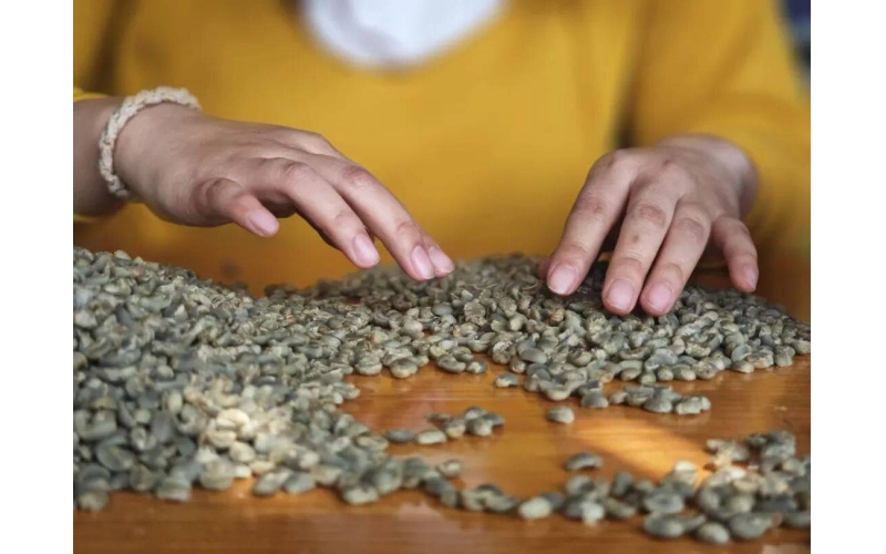 洲际交易所阿拉比卡咖啡期货涨幅超9%Intercontinental Exchange Arabica Coffee Futures Rise Over 9%