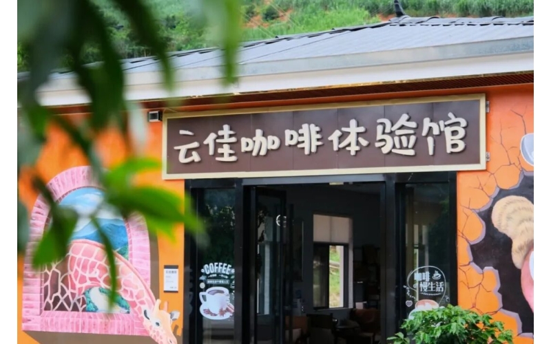 新晋打卡地！来临沧亲手做杯专属咖啡丨在云南样样好New check-in location! Come to Cang and make a cup of exclusive coffee with your own hands - Everything is good in Yunnan