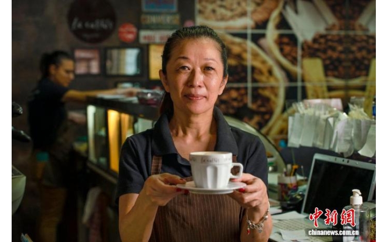 世界咖啡日：巴西旅游局发布七条&ldquo;咖啡之路&rdquo;World Coffee Day: Brazilian Tourism Authority releases seven 'coffee roads'