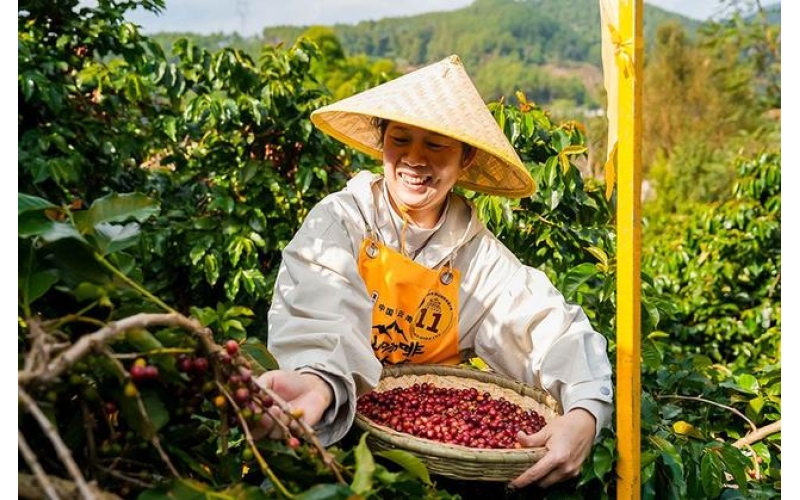 第二届海峡两岸咖啡文化交流活动在保山举行The Second Cross Strait Coffee Culture Exchange Event was held in Baoshan