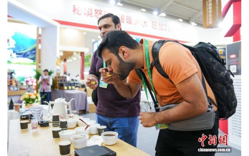 咖啡全产业链汇聚南博会 一杯云南咖啡连接全球市场The entire coffee industry chain gathers at the South China International Fair, and a cup of Yunnan coffee connects the global market