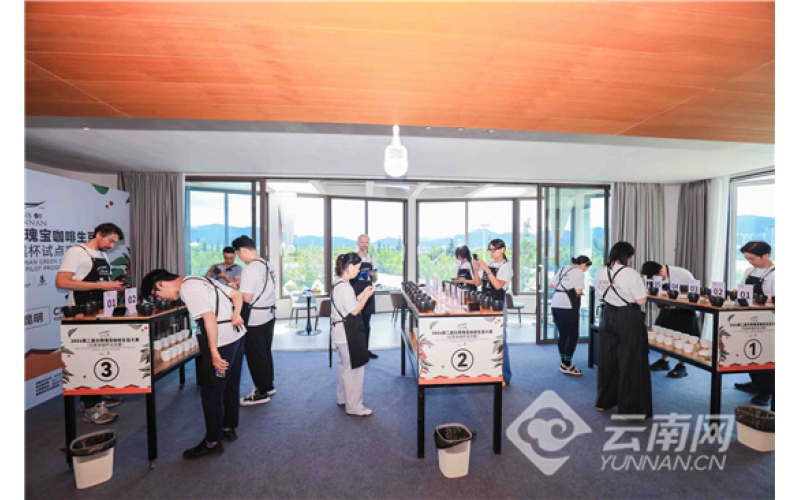 2026年第二届云南瑰宝咖啡生豆大赛（云南卓越杯试点赛）国际赛段在昆明滇池湖畔正式启幕The international stage of the 2nd Yunnan Treasure Coffee Green Bean Competition (Yunnan Excellence Cup Pilot Competition) in 2026 officially kicked off by the Dianchi Lake in Kunming