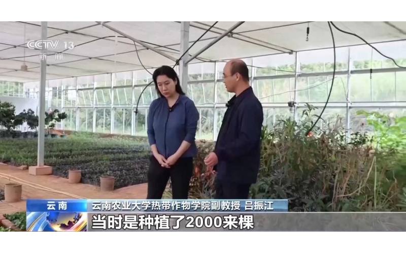按吨卖&rarr;按杯卖，云南精品咖啡香飘世界Sell by ton &rarr; Sell by cup, Yunnan premium coffee fragrance wafts around the world