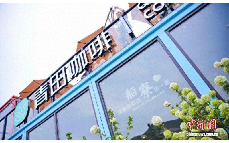 咖香飘四海 侨乡浙江青田咖啡产业提质拓市场Coffee fragrance wafts all over the world, hometown of overseas Chinese. Zhejiang Qingtian coffee industry improves quality and expands market