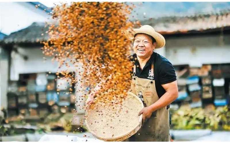 咖啡飘香&mdash;&mdash;云南保山市咖啡产业融合发展掠影Fragrant Coffee - A Glimpse of the Integrated Development of the Coffee Industry in Baoshan City, Yunnan Province