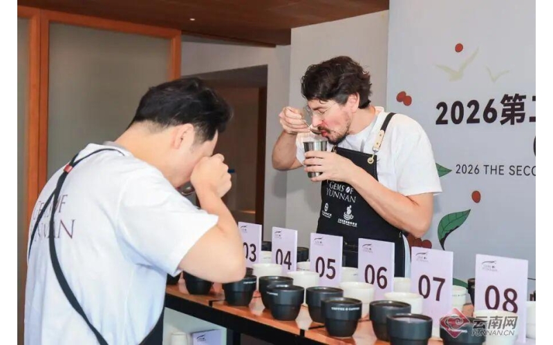 云南咖啡，凭什么越卖越贵？Why does Yunnan coffee become more expensive as it sells?
