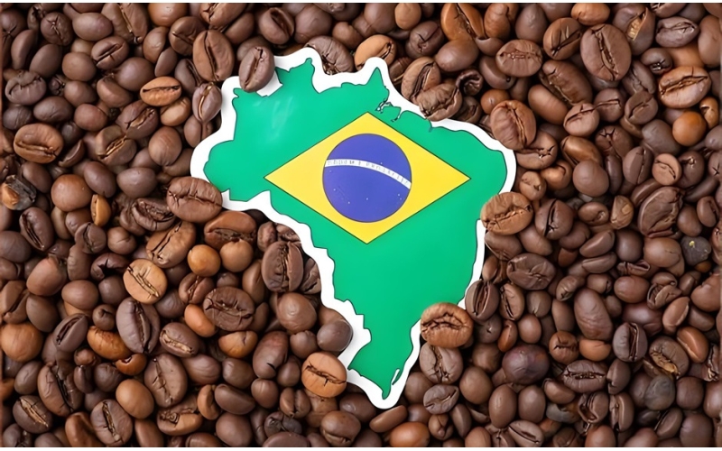 美国咖啡行业呼吁继续豁免巴西关税：咖啡在美国具有独特地位！The US coffee industry calls for continued exemption from Brazilian tariffs: Coffee has a unique position in the US!