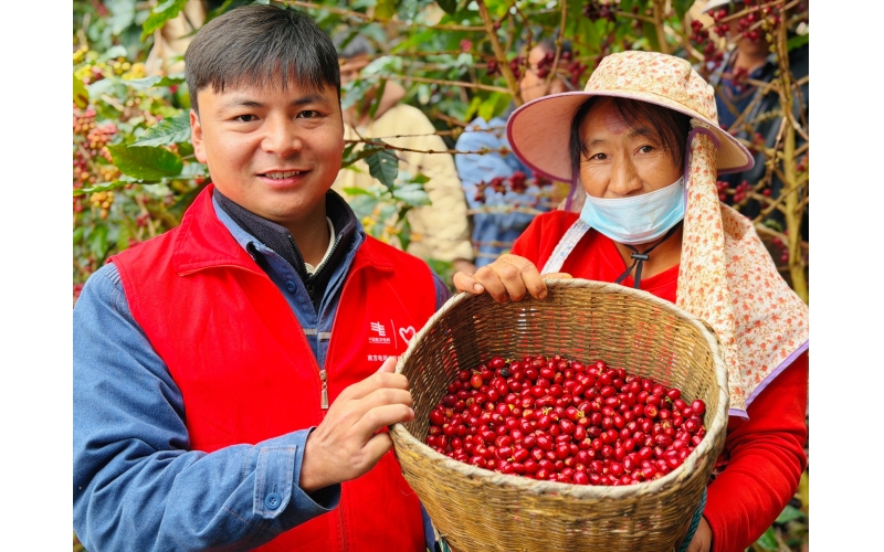 澜沧江畔：一粒咖啡豆酿出大田山村的好日子On the banks of the Lancang River: A good day in Datianshan Village brewed from a single coffee bean
