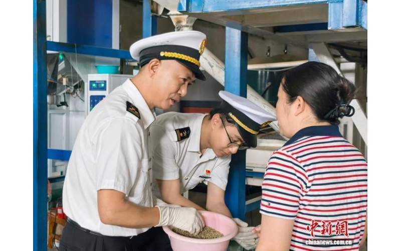 上半年云南咖啡出口量值领跑全国Yunnan's coffee export volume leads the country in the first half of the year