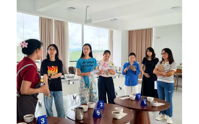 一个&ldquo;旅行包&rdquo;，看见普洱咖啡师的另一种可能A 'travel bag', seeing another possibility of Pu erh baristas