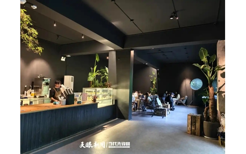 一束森林里的光，与一杯咖啡里的景A beam of light in the forest, and the scenery in a cup of coffee