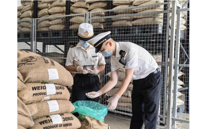 赋能&ldquo;咖啡之城&rdquo;！筑城海关护航首批哥伦比亚生咖啡豆落地Empower the 'Coffee City'! Customs escorts the first batch of Colombian green coffee beans to land